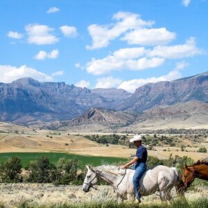 montana, cowboy, horses