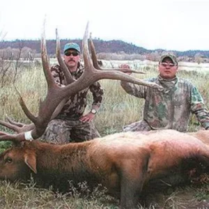 New Mexico Bull Elk - Rifle Hunt