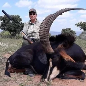 AFRICAN SAFARI HUNT – 2 HUNTERS – 4 TROPHIES EACH
