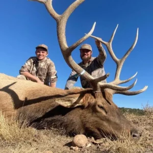 OCTOBER 2026 - NEW MEXICO BULL ELK HUNT