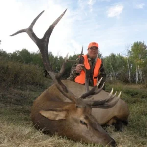 NOVEMBER 2027 - COLORADO ELK HUNT FOR 2 HUNTERS