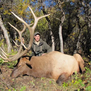 NOVEMBER 2026 - COLORADO ELK HUNT FOR 2 HUNTERS