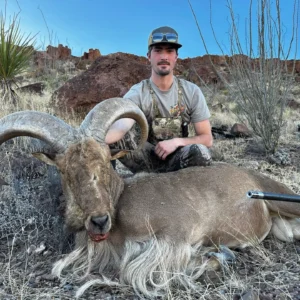 JANUARY 2027 - TEXAS AOUDAD HUNT FOR 2 HUNTERS
