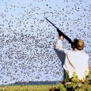 2027 ARGENTINA CAST & BLAST / 2 HUNTERS (Dove Hunt & Golden Dorado Fishing)