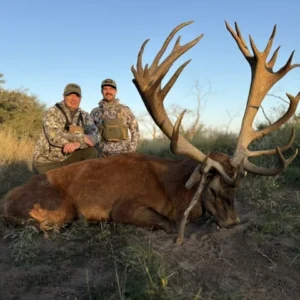APRIL 2027 - ARGENTINA RED STAG FOR 2 HUNTERS