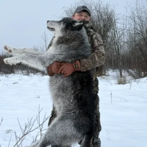 MARCH 2027 - ALBERTA WOLF HUNT FOR 2 HUNTERS