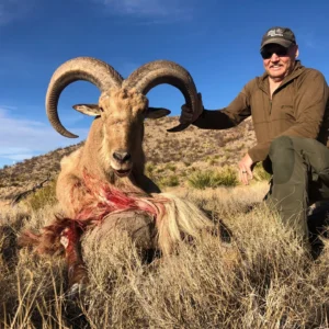 JANUARY 2027 - WEST TEXAS AOUDAD & SCIMITAR ORYX COMBO
