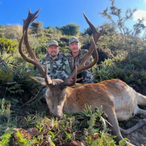 APRIL 2027 - NEW ZEALAND RED STAG WITH TRAVEL ALLOWANCE