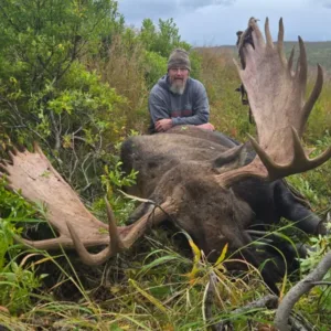 SEPTEMBER 2028 - ALASKA MOOSE