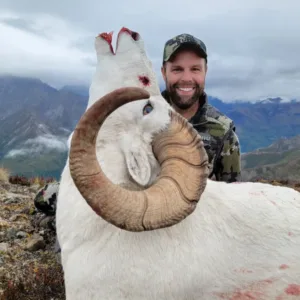 AUGUST 2029 - ALASKA DALL SHEEP